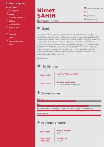 Ressam Cv Örnekleri cv indir